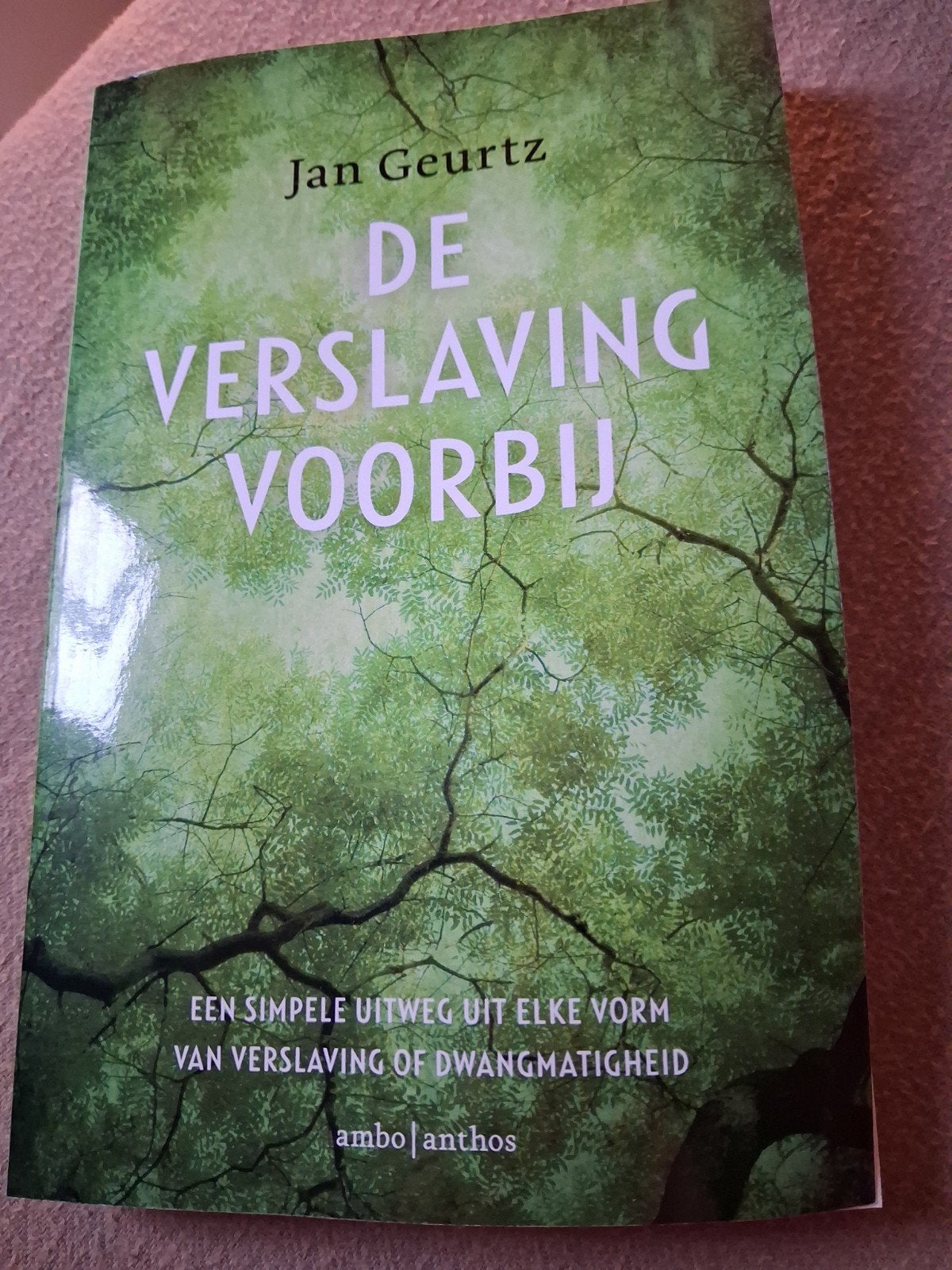 Jan Geurtz - De verslaving voorbij, Boeken, Ophalen of Verzenden, Nieuw, Jan Geurtz