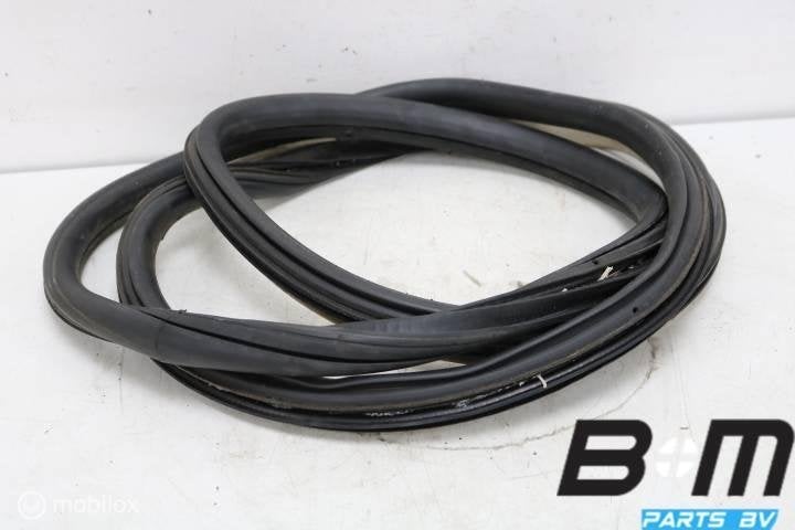 Portierrubber rechtsachter VW Golf 4 1J6867368, Gebruikt