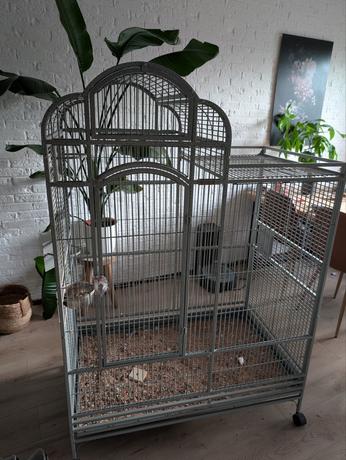 zgan papegaaienkooi, Dieren en Toebehoren, Ophalen, Zo goed als nieuw, Metaal, Vogelkooi