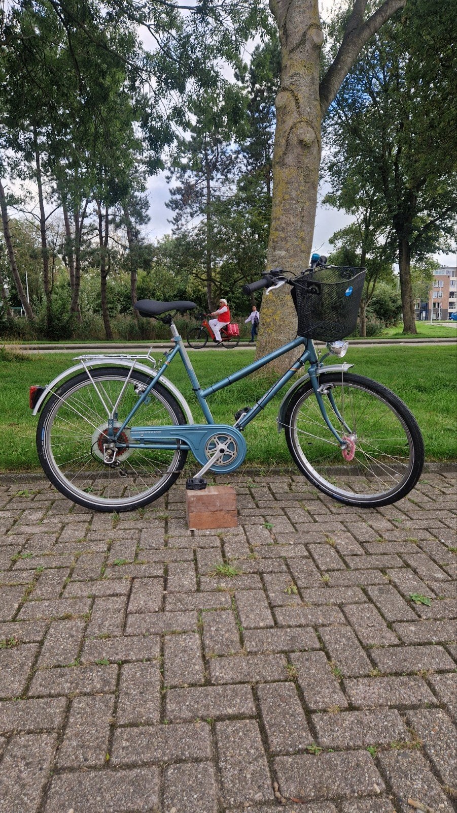 Goede  meisjesfiets 6 versn., Ophalen, Gebruikt, 26 inch of meer, Versnellingen