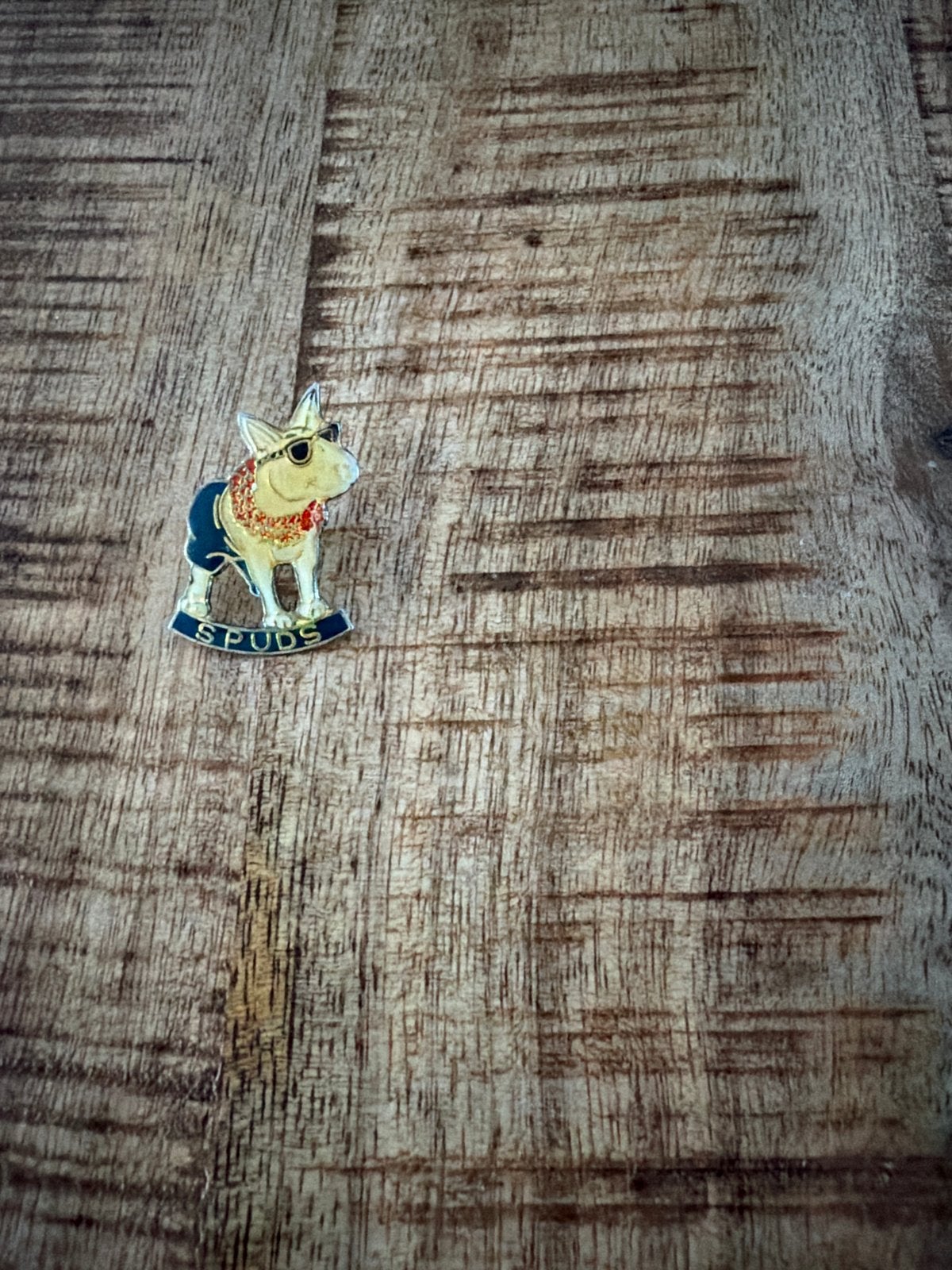Vintage Spuds MacKenzie Pin - Bull Terrier met zonnebril, Ophalen of Verzenden, Zo goed als nieuw, Dier of Natuur, Speldje of Pin