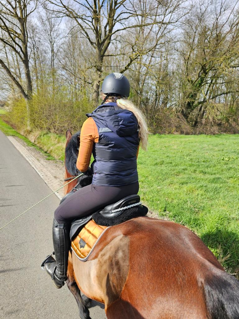 Zadelsieraad, Dieren en Toebehoren, Paarden en Pony's | Verzorgingsproducten, Ophalen of Verzenden, Nieuw
