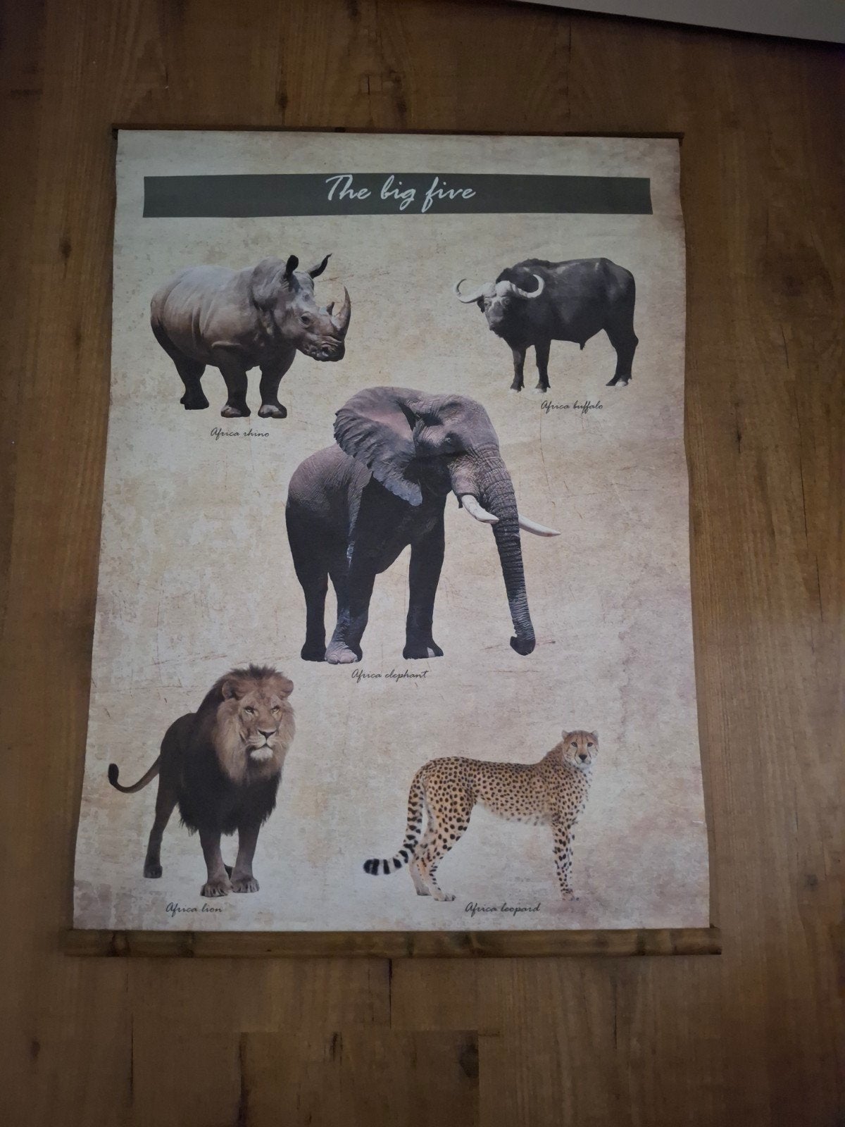 Wandkleed 'The Big Five' - Afrikaanse Dieren Poster, Gebruikt, Meerkleurig, Overige stijlen, Ophalen of Verzenden