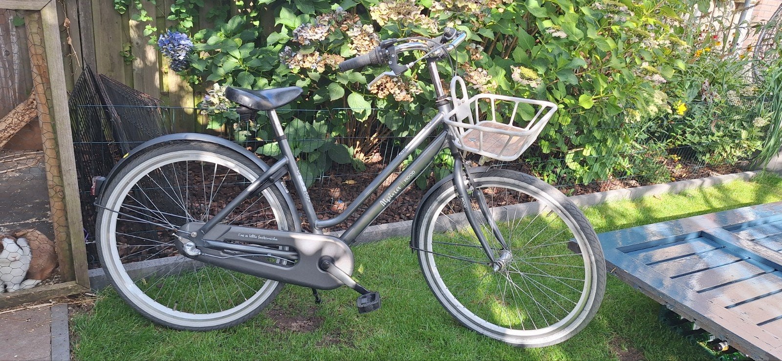 Gebruikte damesfiets met mandje - Sparta, Terugtraprem, Sparta, Ophalen of Verzenden, 50 tot 53 cm