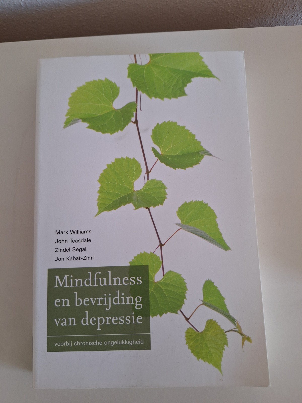 Mindfulness en bevrijding van depressie - Mark Williams, Boeken, Ophalen of Verzenden, Zo goed als nieuw