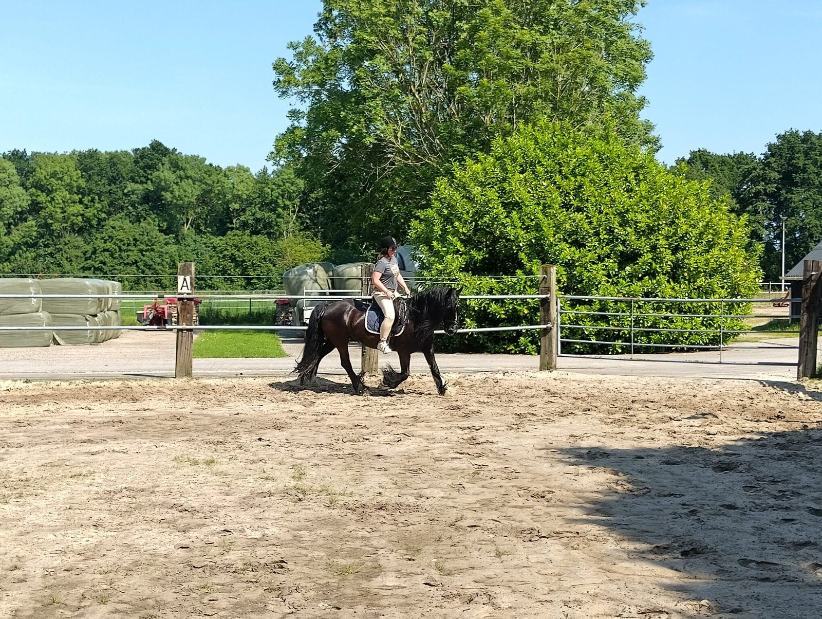 Te koop lieve 14 jarige kinder pony, Dieren en Toebehoren, Merrie, L, Gechipt, 11 jaar of ouder