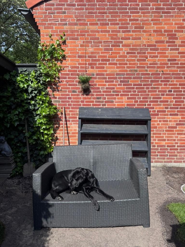 Loungebank - B7 Club, Tuin en Terras, Ophalen of Verzenden, Gebruikt, Wicker