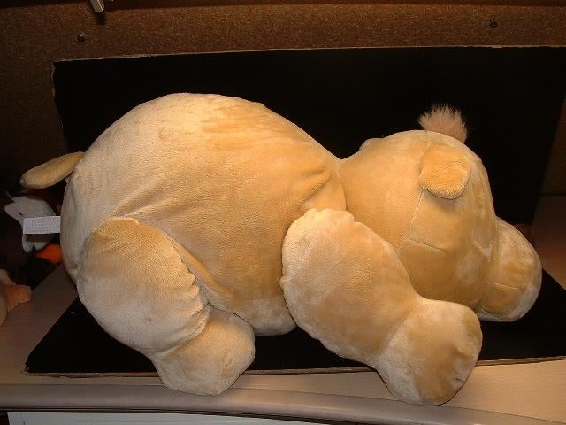 PRENATAL BEER BEIGE VELOURS MET DONKERBRUINE VELOUR, Ophalen of Verzenden, Nieuw, Overige typen