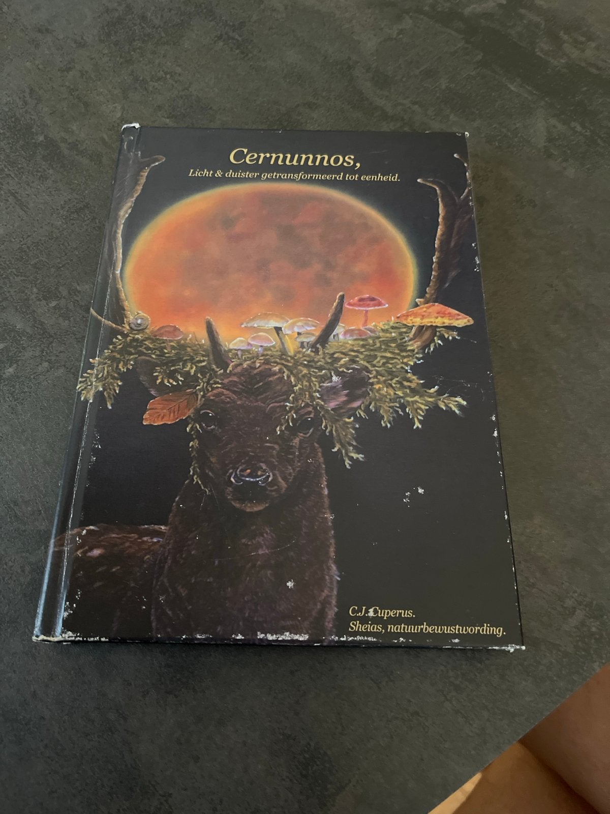Cernunnos: Licht & Duister getransformeerd tot eenheid, Boeken, Ophalen of Verzenden, Gelezen, Spiritualiteit algemeen, Achtergrond en Informatie