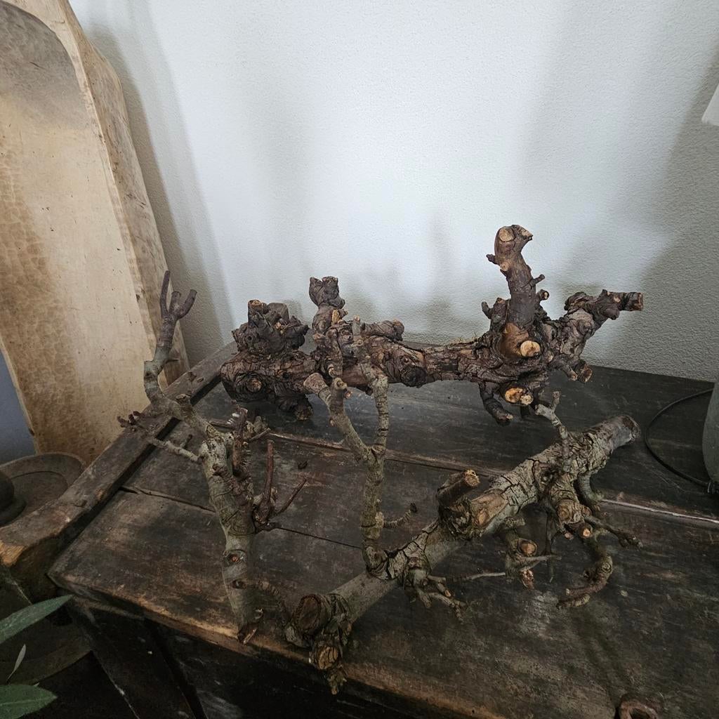 Set takken, Huis en Inrichting, Ophalen of Verzenden