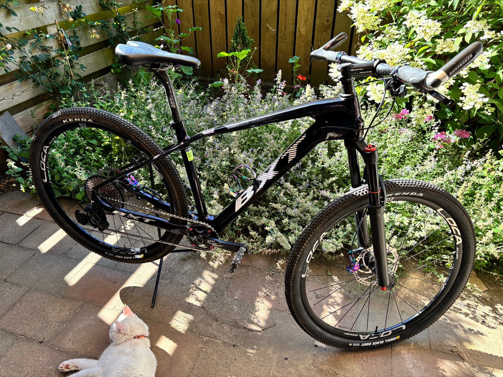 Mountainbike - BXT - donkerpaars - carbon frame, Fietsen en Brommers, Fietsen | Mountainbikes en ATB, Gebruikt, Hardtail, Dames