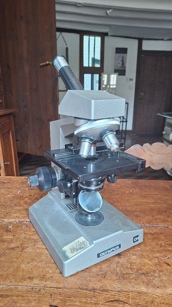 Microscoop Olympus, Gebruikt, Biologische microscoop, Ophalen, 400x tot 1000x