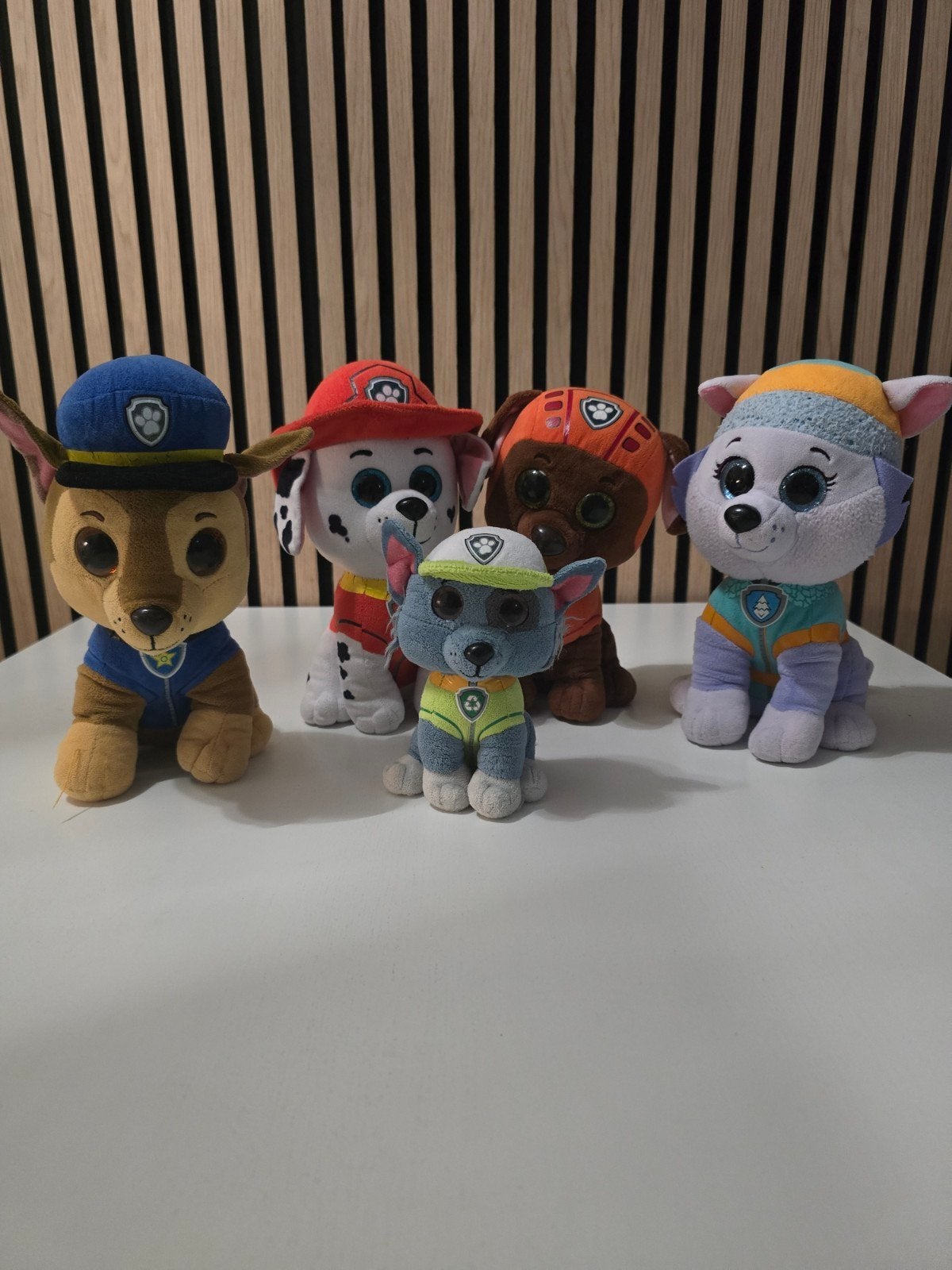 Paw Patrol Knuffels Set Marshall, Zuma, Rocky, Chase, Everes, Gebruikt, Klein (minder dan 20 cm), Ty, Paw Patrol