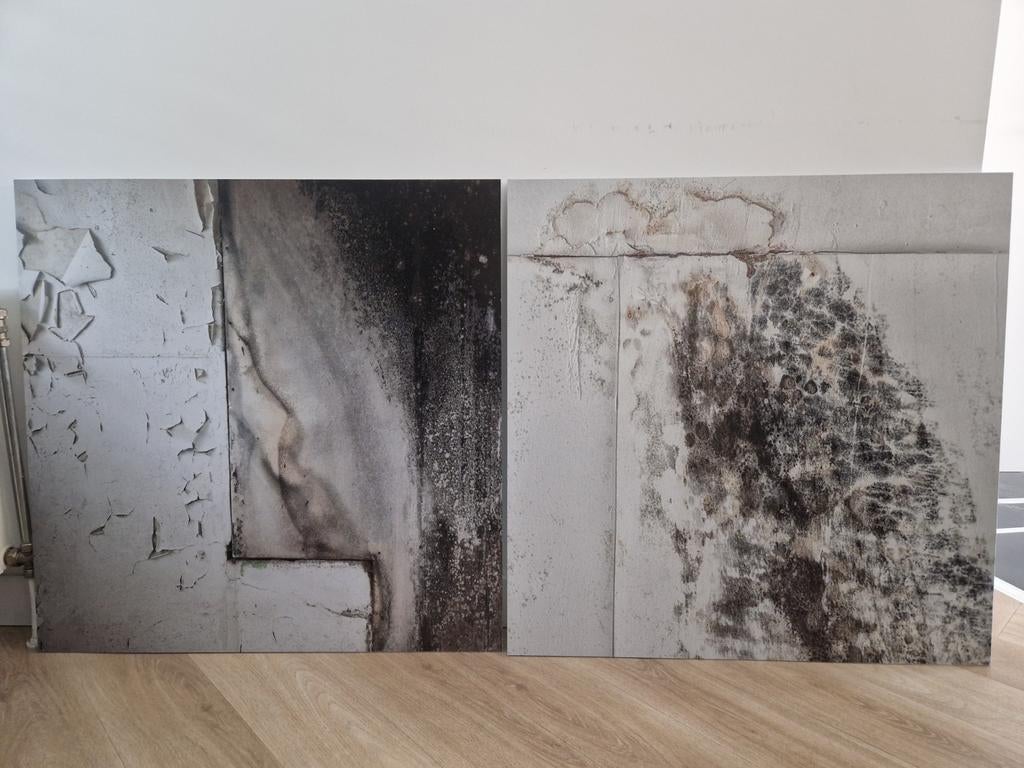 2 aluminium schilderijen 80x80 cm, Ophalen