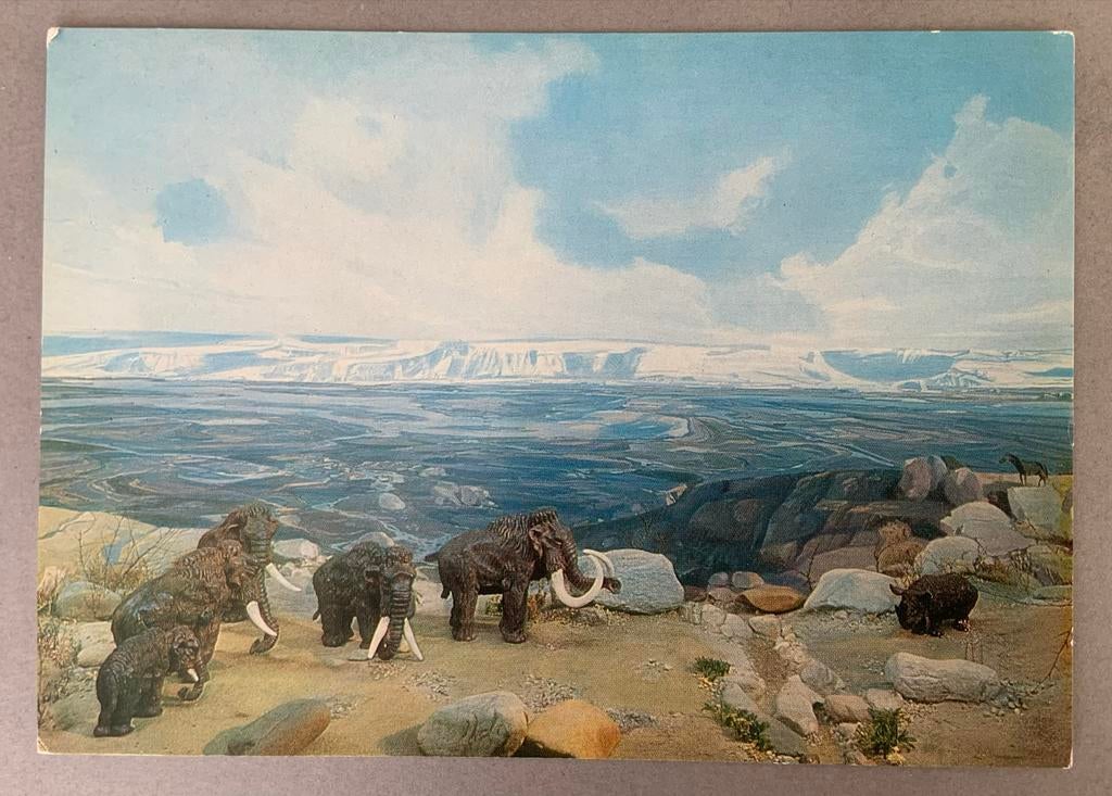 Museum Xanten - IJstijd Diorama Mammoeten, Ophalen of Verzenden, 1980 tot heden, Ongelopen, Politiek en Historie