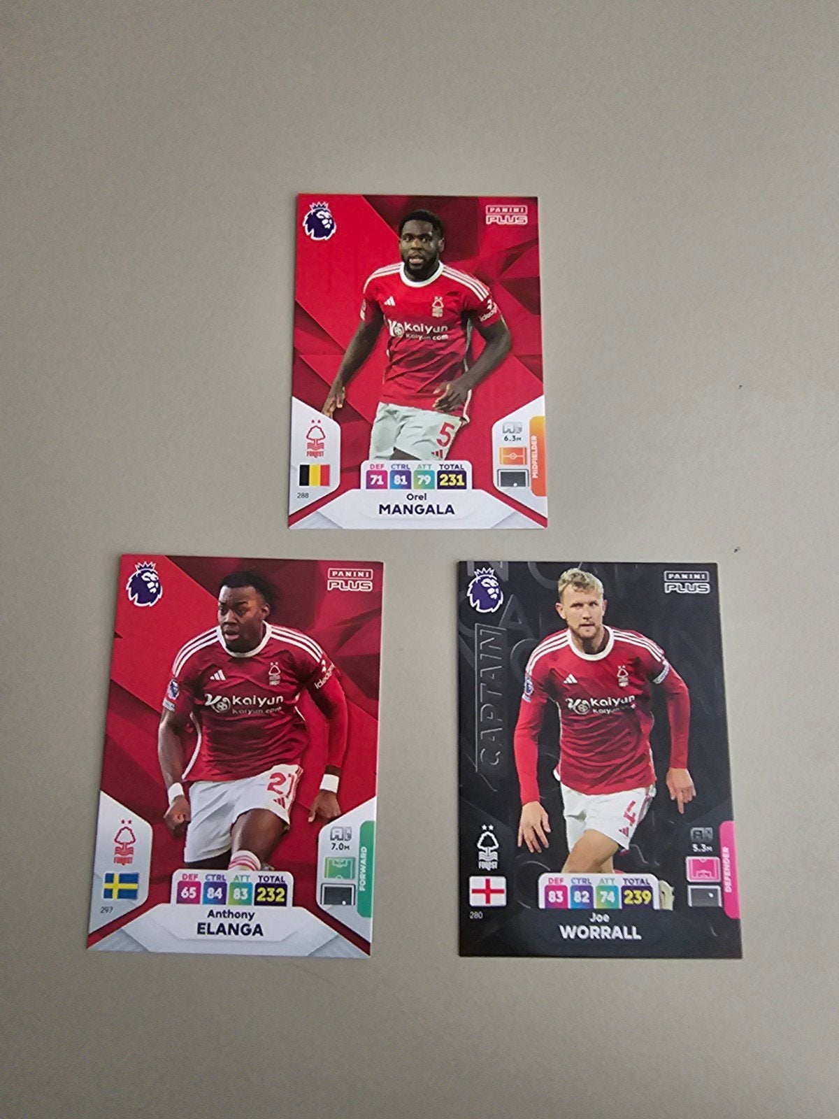 Panini Plus Premier League Voetbal Spelerskaarten, Ophalen, Zo goed als nieuw, Buitenlandse clubs, Spelerskaart