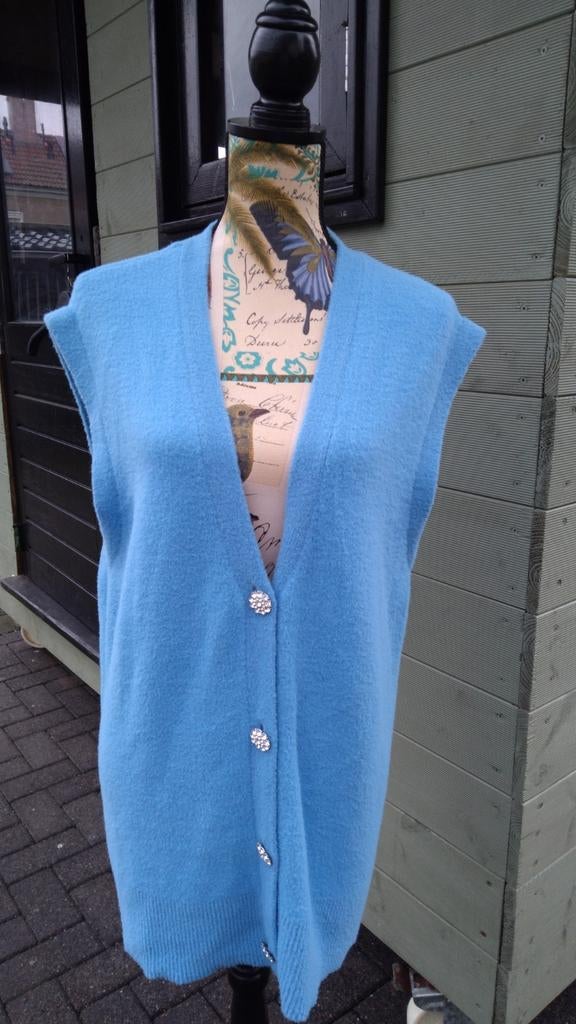 Zara gilet/vest oversized blauw met strass knopen, Maat 38/40 (M), Zara, Nieuw, Verzenden