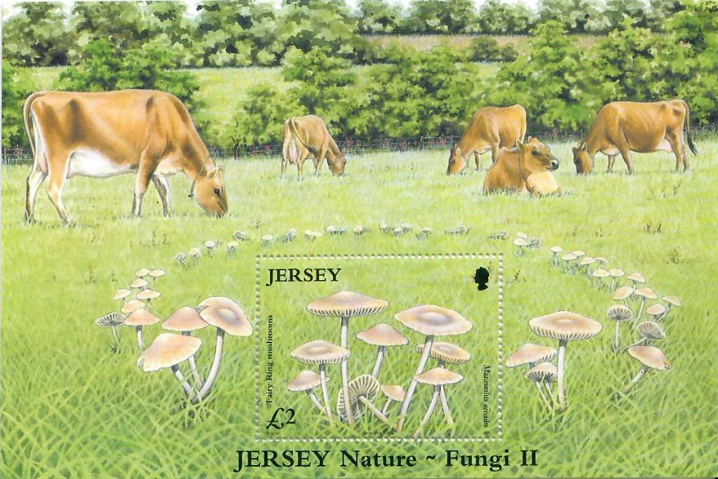 Jersey, Ophalen of Verzenden, Overige landen