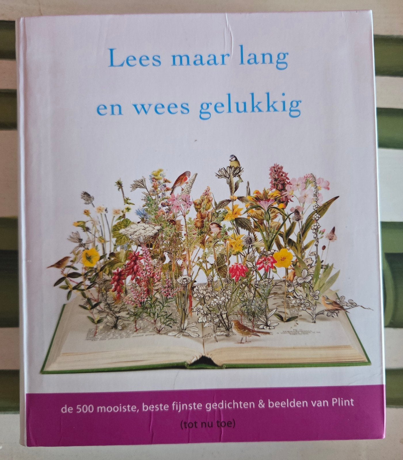 Lees maar lang en wees gelukkig (Plint), Boeken, Ophalen of Verzenden, Zo goed als nieuw