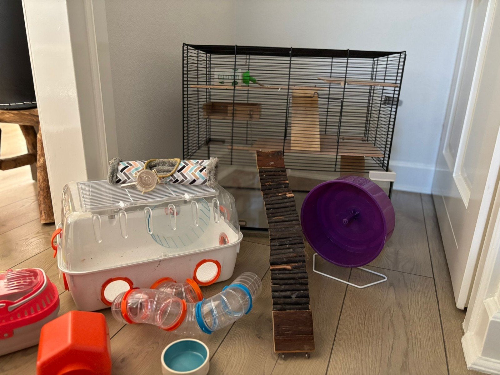 Hamsterkooi te koop met glazen onderbak + extra, Dieren en Toebehoren, Knaagdieren en Konijnen | Toebehoren, Ophalen, Gebruikt