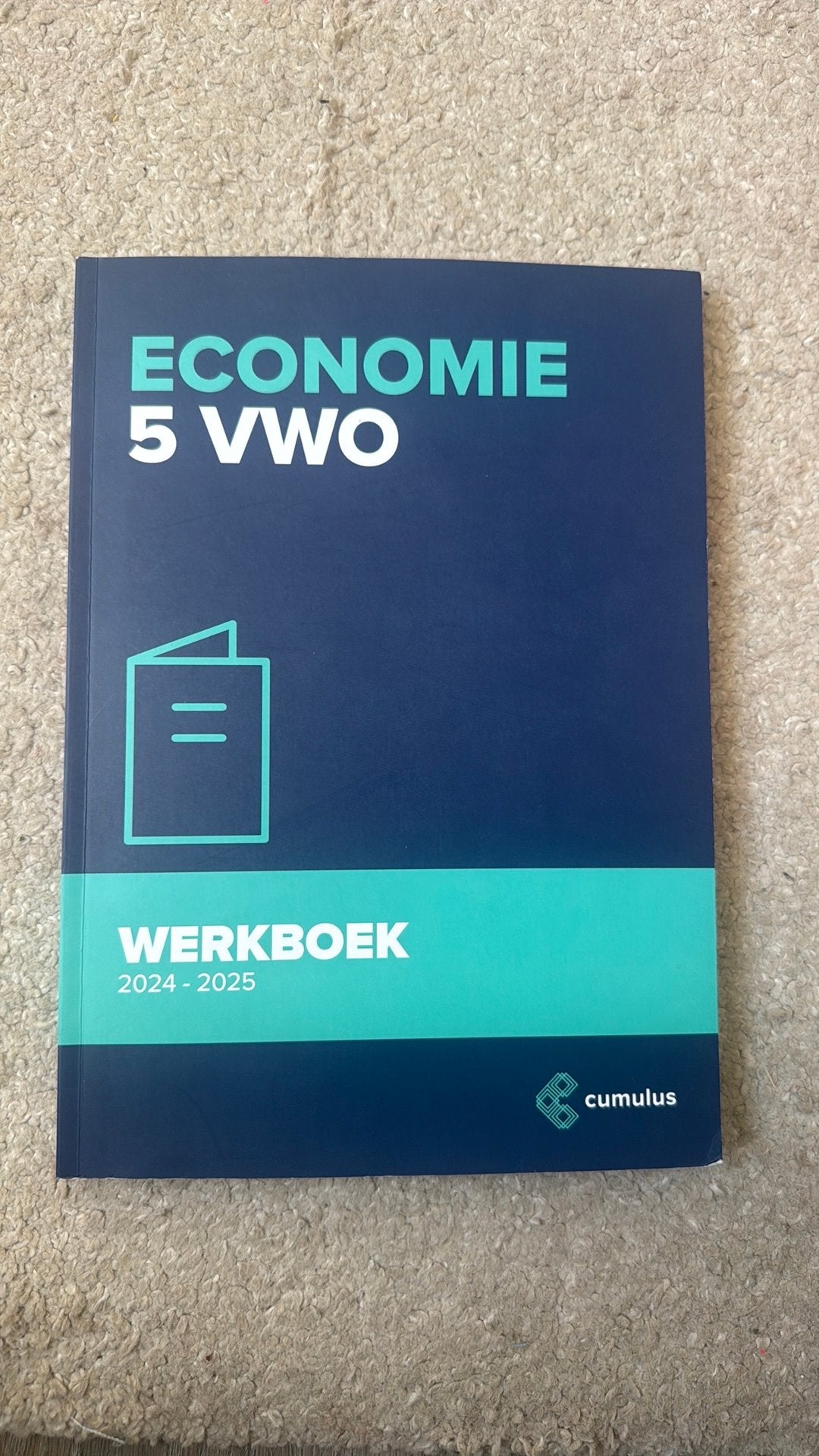 Cumulus economie 5vwo werkboek, Ophalen of Verzenden, Zo goed als nieuw