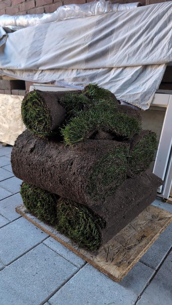 Grasmatten, Tuin en Terras, Ophalen, Nieuw, Minder dan 10 m², Gras