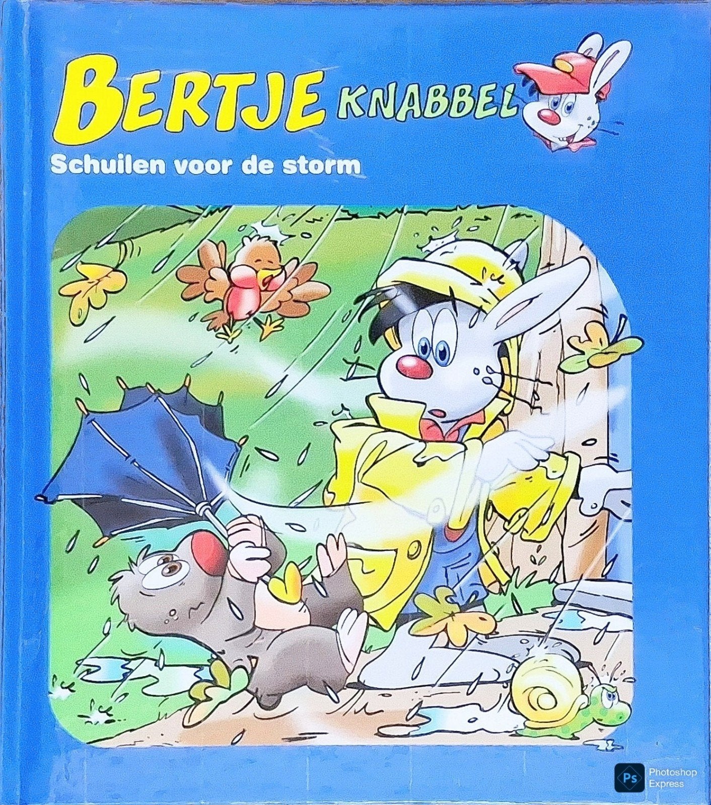 Bertje Knabbel Schuilen Voor De Storm, Boeken, Gelezen, Fictie algemeen, Jongen of Meisje, Jan Ivens.