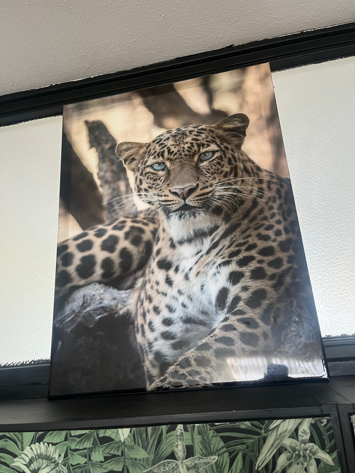 Epoxy schilderij met luipaard in perfecte staat, Ophalen