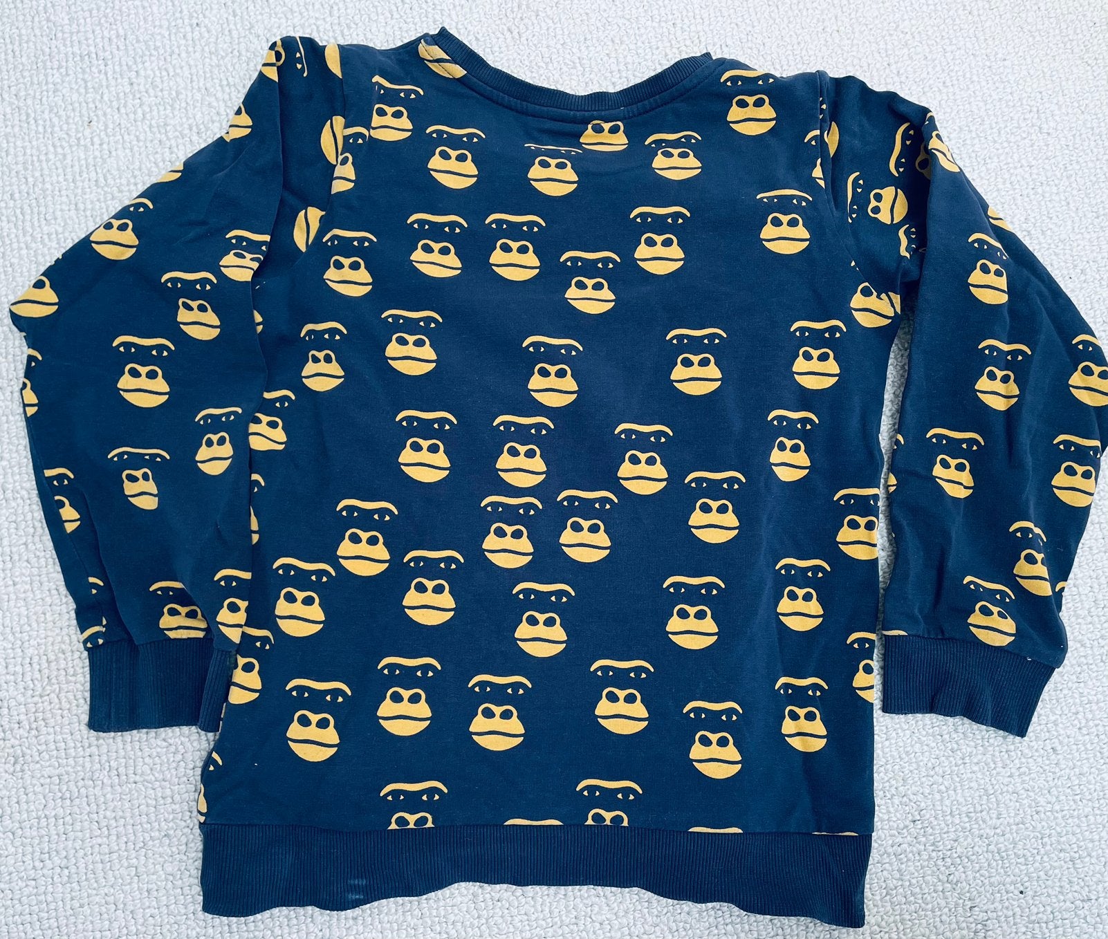 Mini Rodini 128 / 134 sweater, Kinderen en Baby's, Ophalen of Verzenden, Zo goed als nieuw, Jongen of Meisje, Trui of Vest