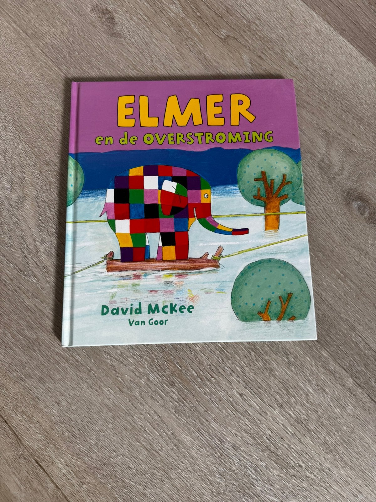 Boek Elmer en de overstroming, Ophalen of Verzenden, Zo goed als nieuw, 2 tot 3 jaar