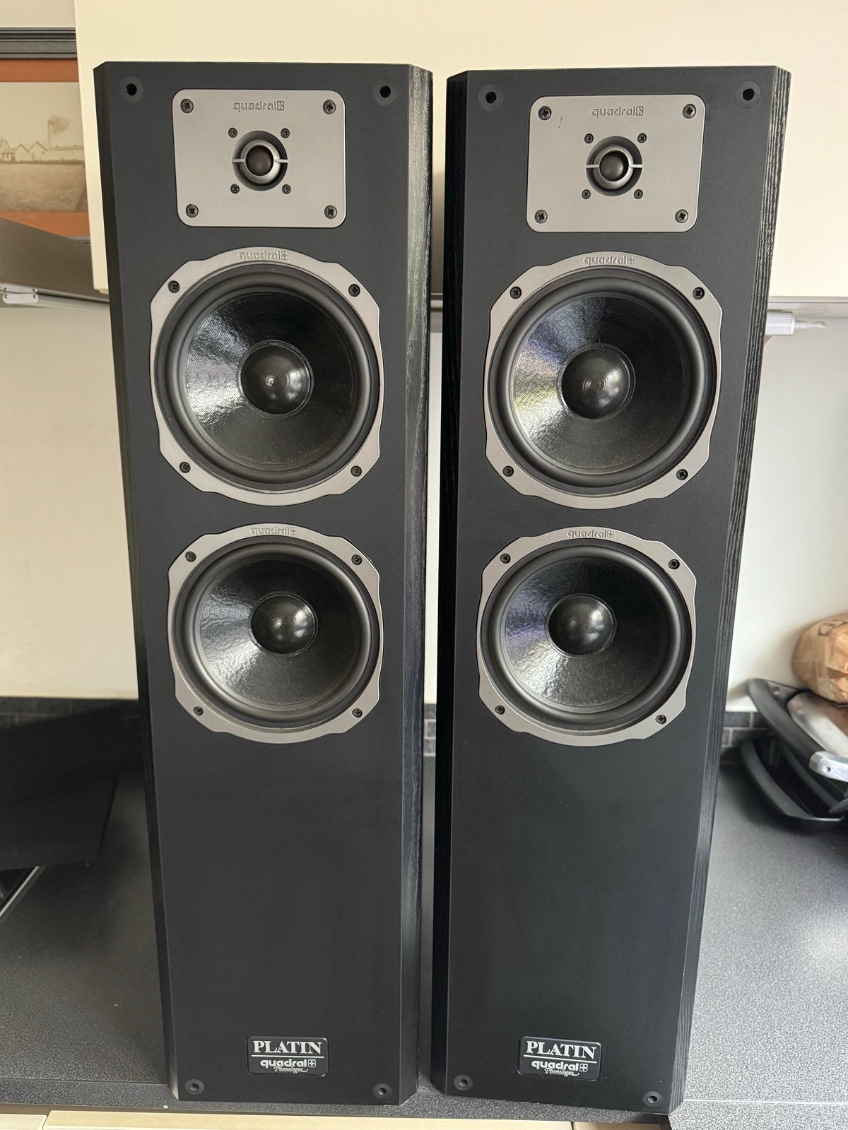 Quadral Platin Vloerstaande Luidsprekers - Zwart, Audio, Tv en Foto, Luidsprekers, Vloerstaande luidspreker, Zo goed als nieuw