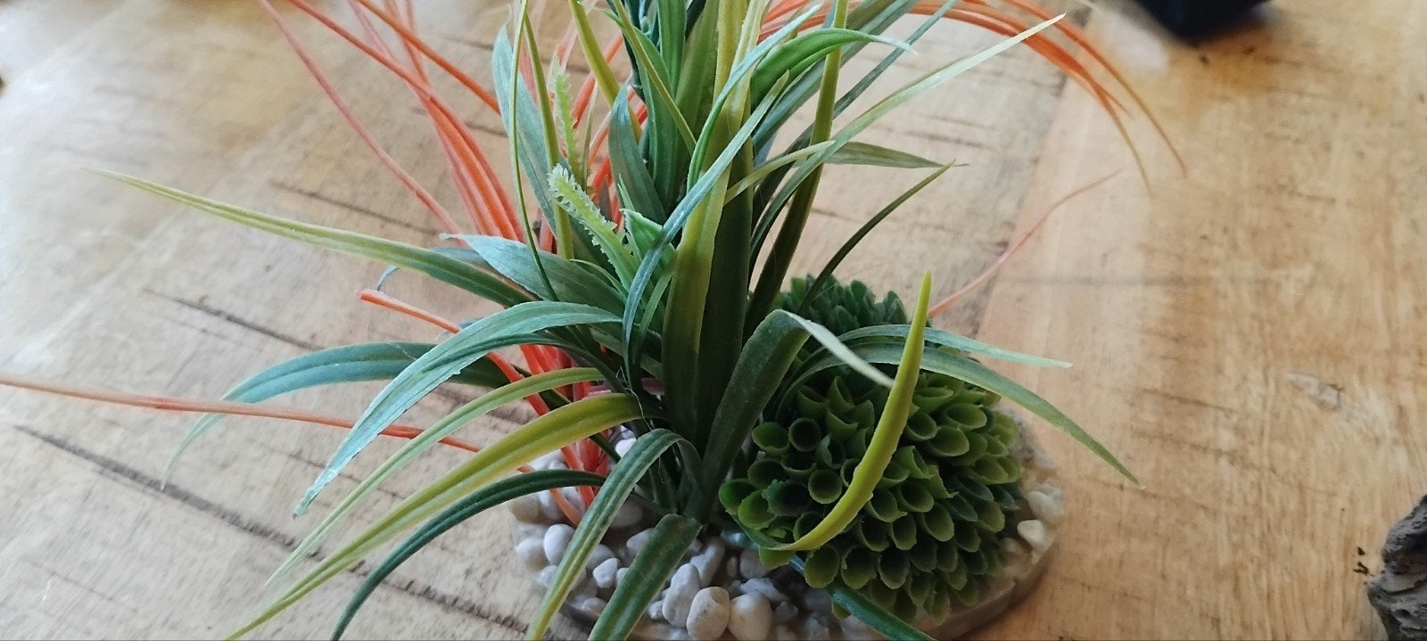 Aquarium plant kunststof, Dieren en Toebehoren, Ophalen