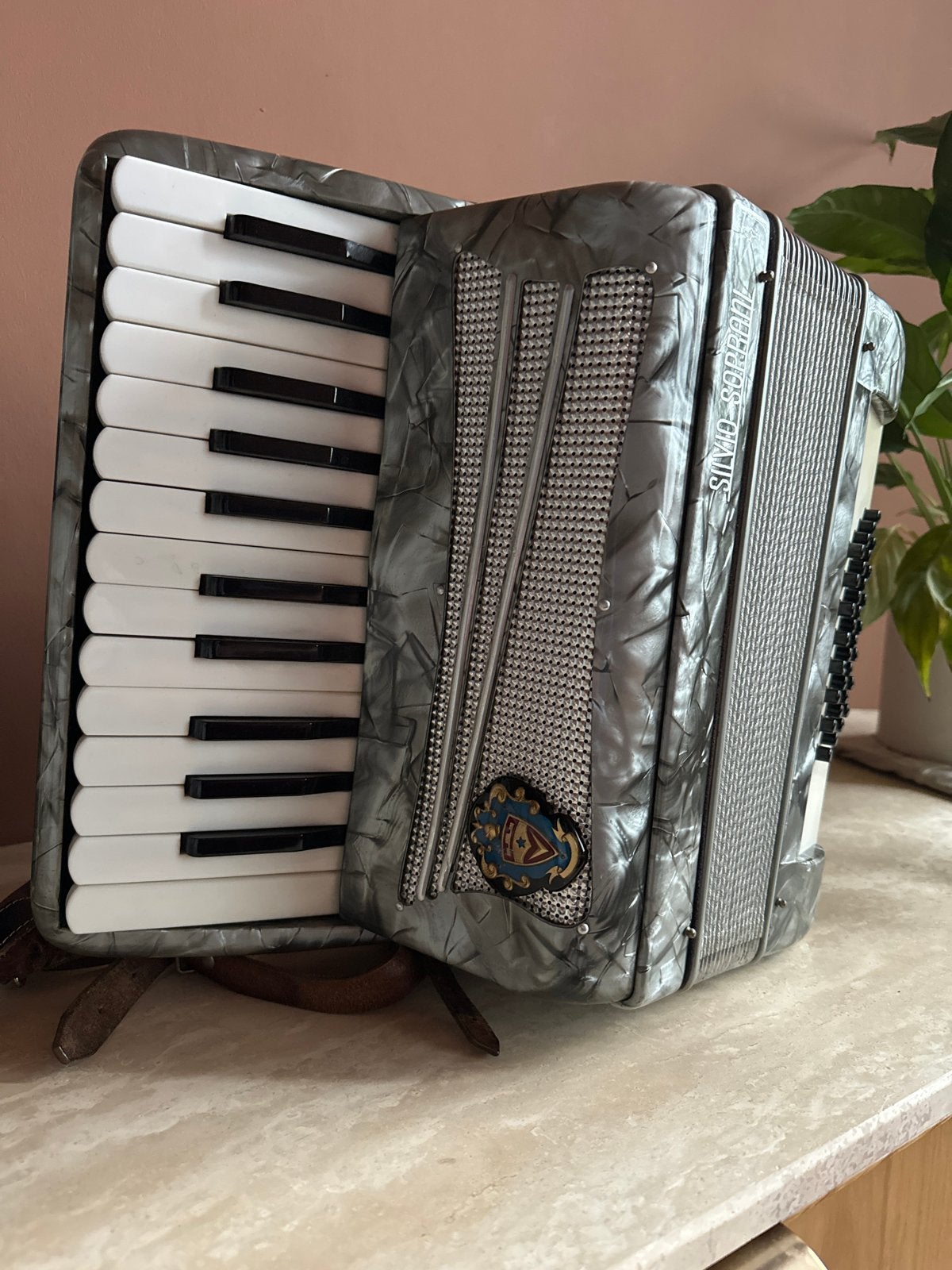 Compacte Vintage Piano Accordeon Silvio Soprani, Overige merken, Gebruikt, Met riemen, Overige formaten