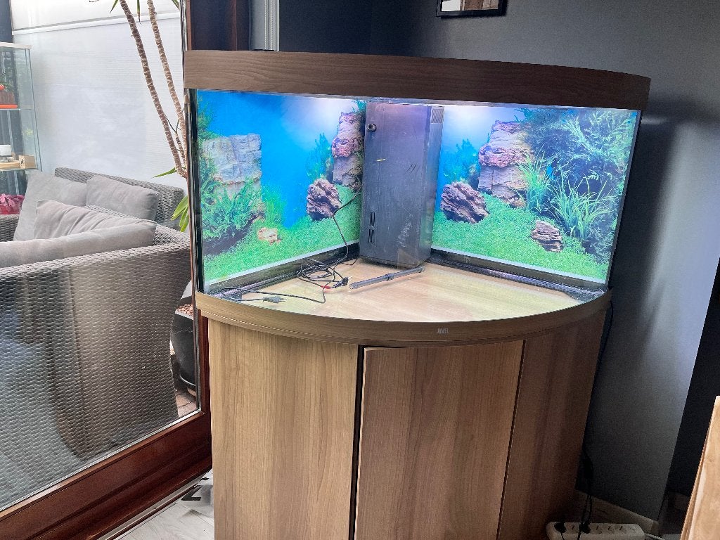 Aquarium compleet, Ophalen, Zo goed als nieuw, Gevuld zoetwateraquarium, Juwel