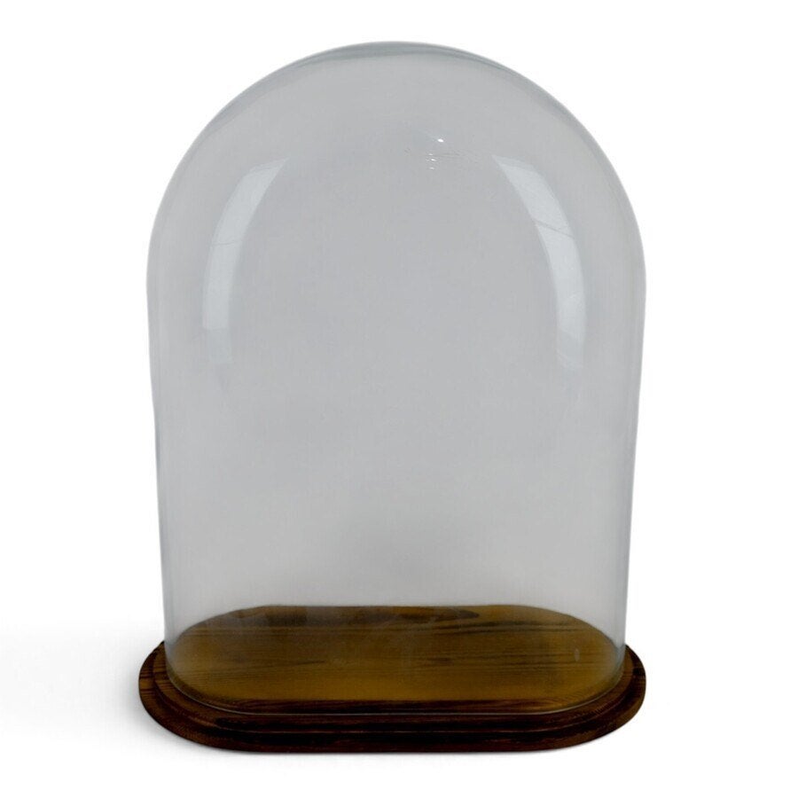 Glazen stolp en vitrinekastje (2x), Ophalen of Verzenden