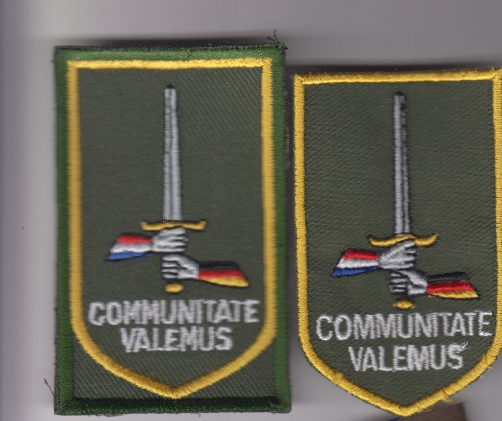 camou en dt2000 mouwembleem Duits Ned Legerkorps, Ophalen of Verzenden, Landmacht, Duitsland