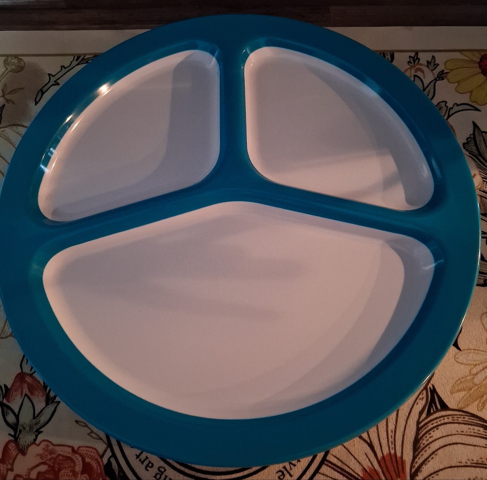 Set van 6 turquoise borden met 3 vakken, Kunststof, Ophalen of Verzenden, Zo goed als nieuw, Bord(en)