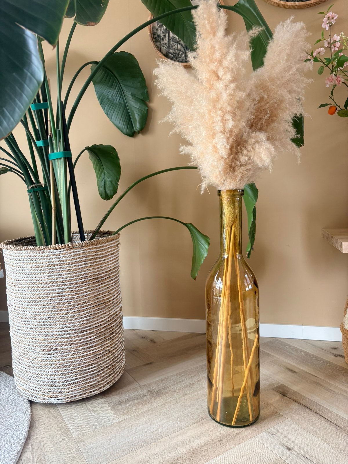 Vaas - Grote glazen vaas met pampasgras, Ophalen, Inclusief droogbloemen, Bruin, Glas