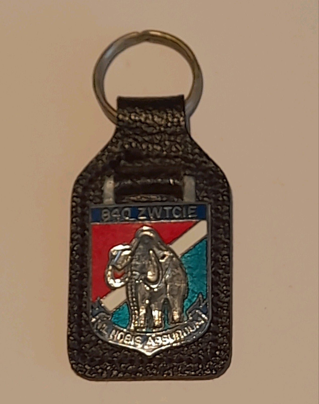 DT HANGER 840 ZWTCIE, Ophalen of Verzenden, Landmacht, Nederland, Embleem of Badge