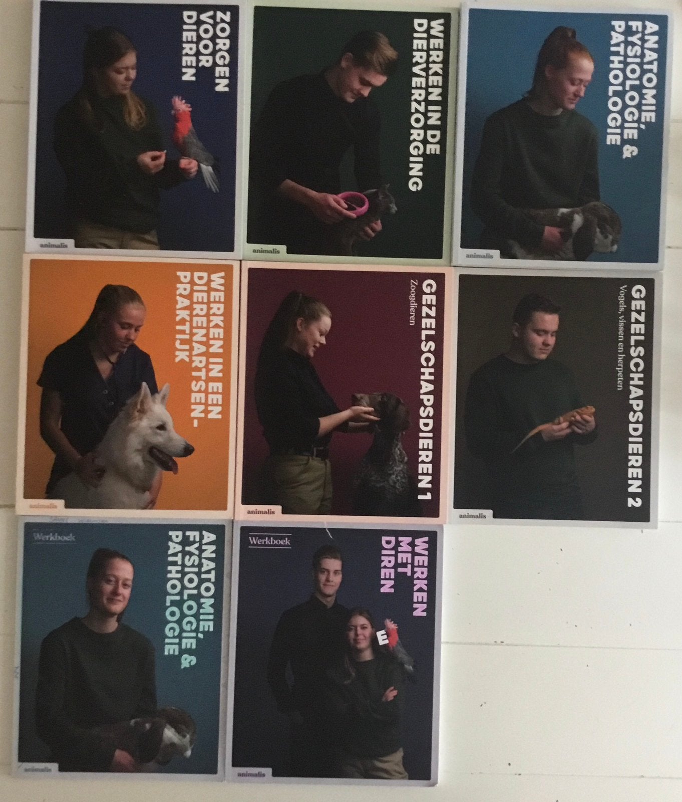Animalis studieboeken paraveterinair/dierverzorging  MBO, Ophalen of Verzenden, Zo goed als nieuw, Overige niveaus