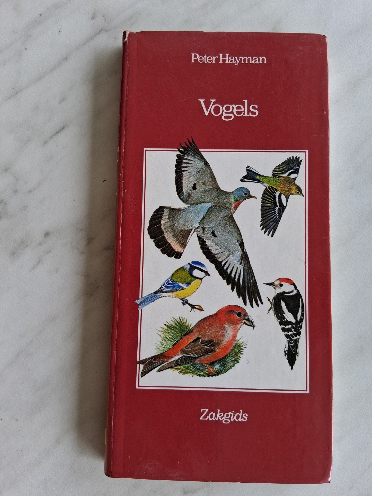 Zakgids VOGELS door Peter Hayman, Ophalen of Verzenden, Zo goed als nieuw, Vogels