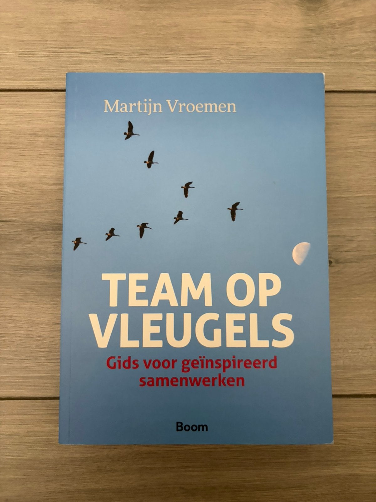 M. Vroemen - Team op vleugels, Boeken, M. Vroemen, Sociale wetenschap, Ophalen of Verzenden, Zo goed als nieuw