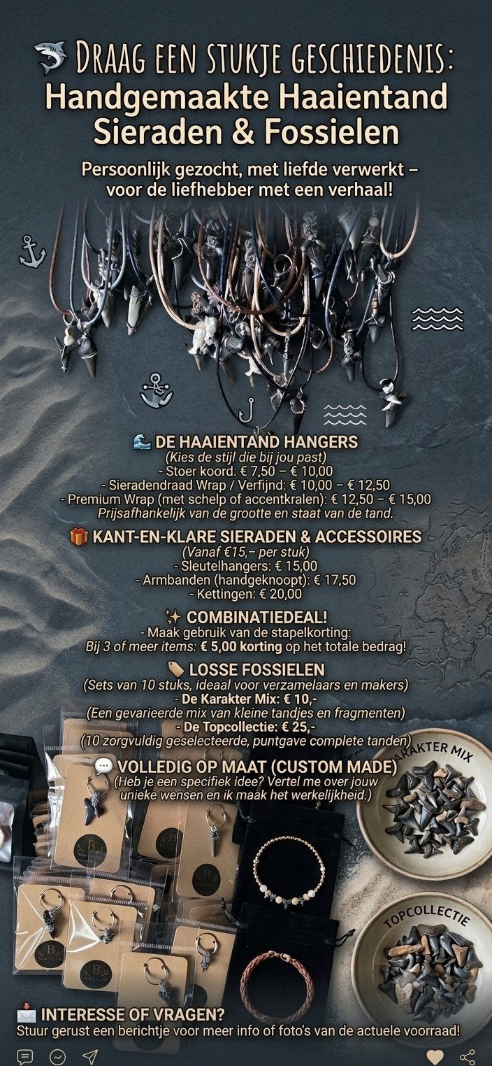 Fossiele Haaientand Hangers, Armbanden & Losse Sets, Ophalen of Verzenden, Fossiel
