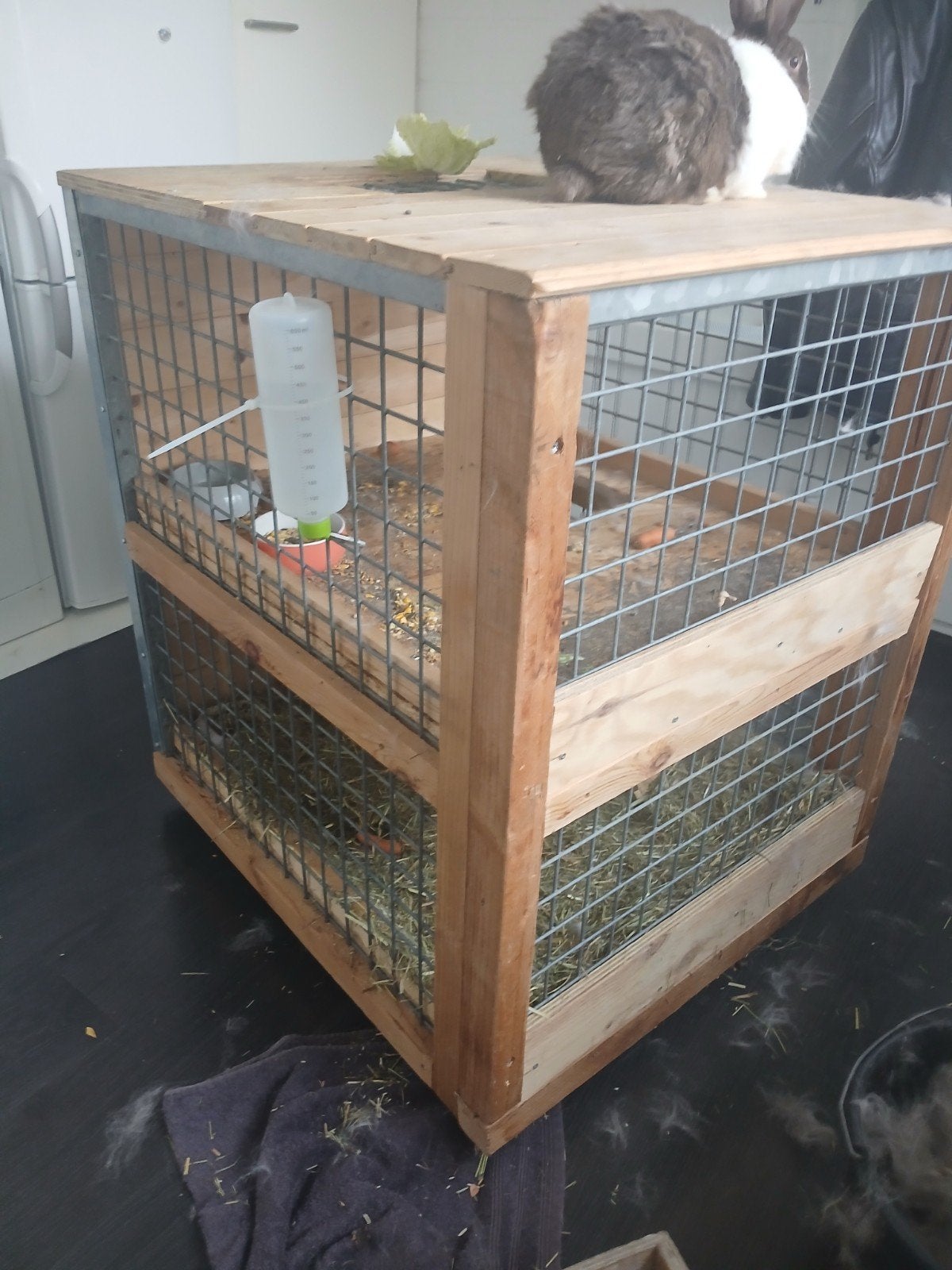 konijnenhok, Dieren en Toebehoren, Ophalen, 60 tot 90 cm, Zo goed als nieuw, Hamster