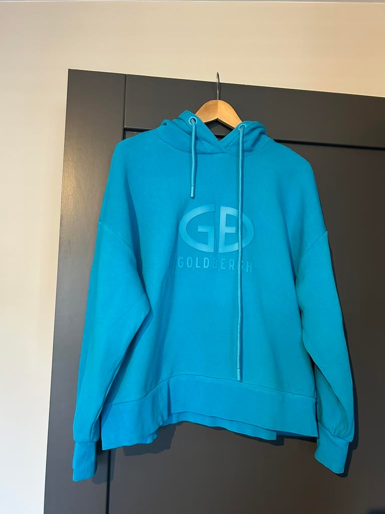 Mooie blauwe trui van Goldbergh te koop maat XL, Verzenden, Zo goed als nieuw, Maat 46/48 (XL) of groter, Blauw