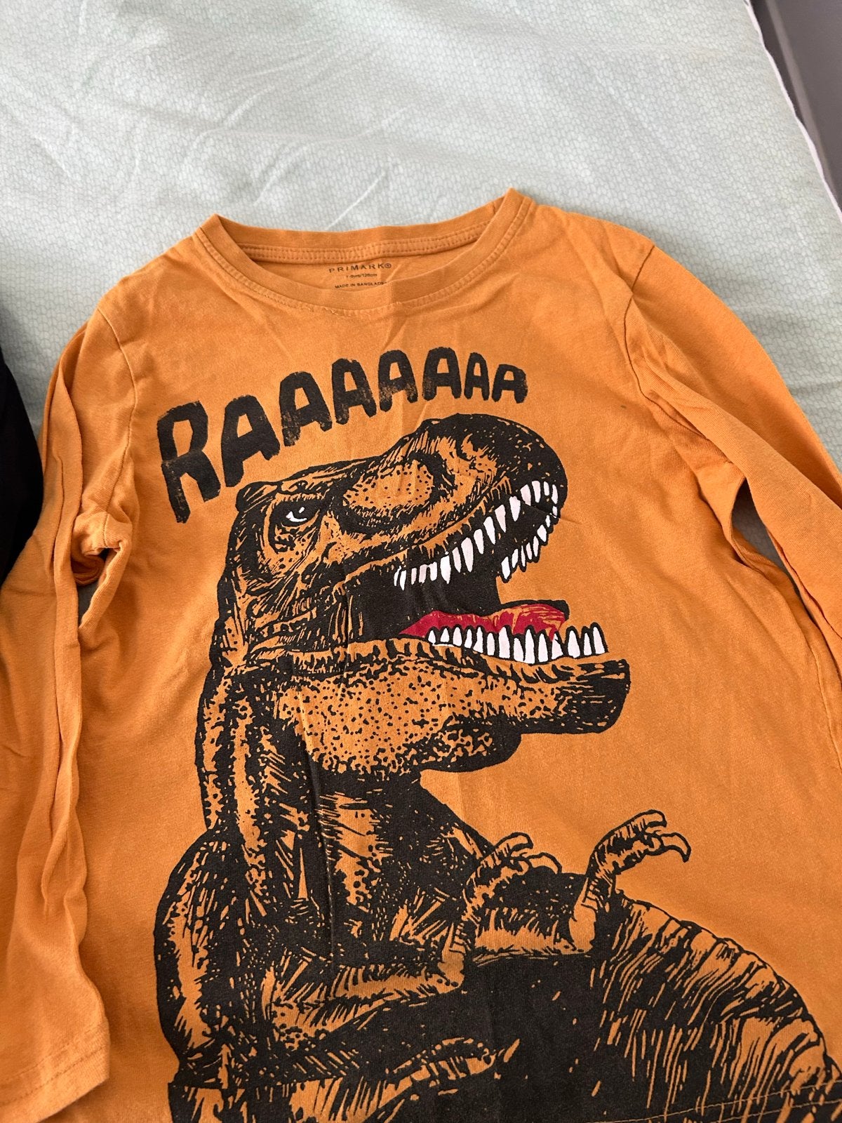 2 Nieuwe Jongens Longsleeves: Dinosaurus & Skateboard, Ophalen of Verzenden, Nieuw, Jongen, Shirt of Longsleeve
