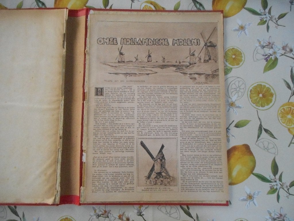 Onze Hollandse molens. 1924., Ophalen of Verzenden, 1920 tot 1940, Nederland, Knipsel(s)