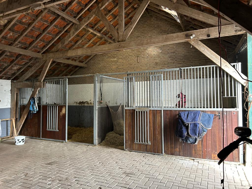 Opfok of pensioen plek paard aangeboden, Dieren en Toebehoren, Stalling en Weidegang, Opfok, 1 paard of pony
