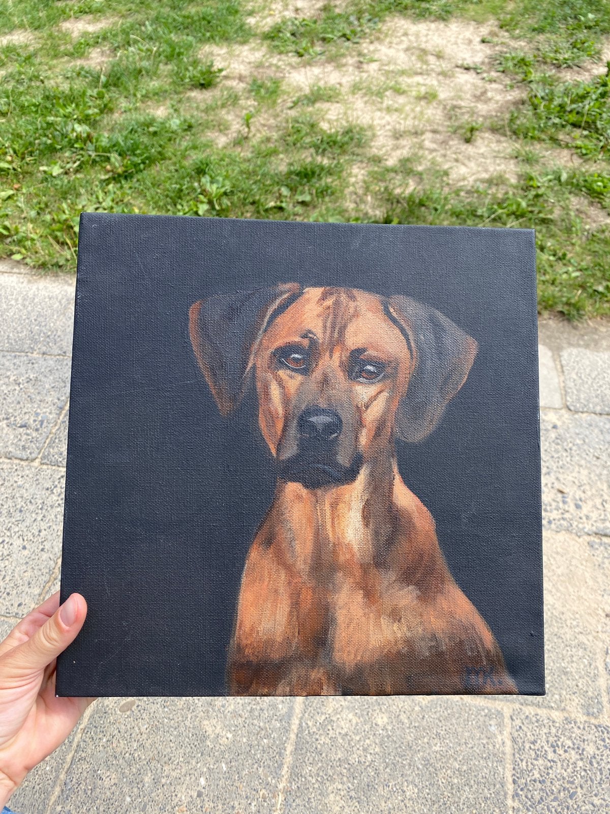 Handgeschilderd schilderij ridgeback, Ophalen of Verzenden