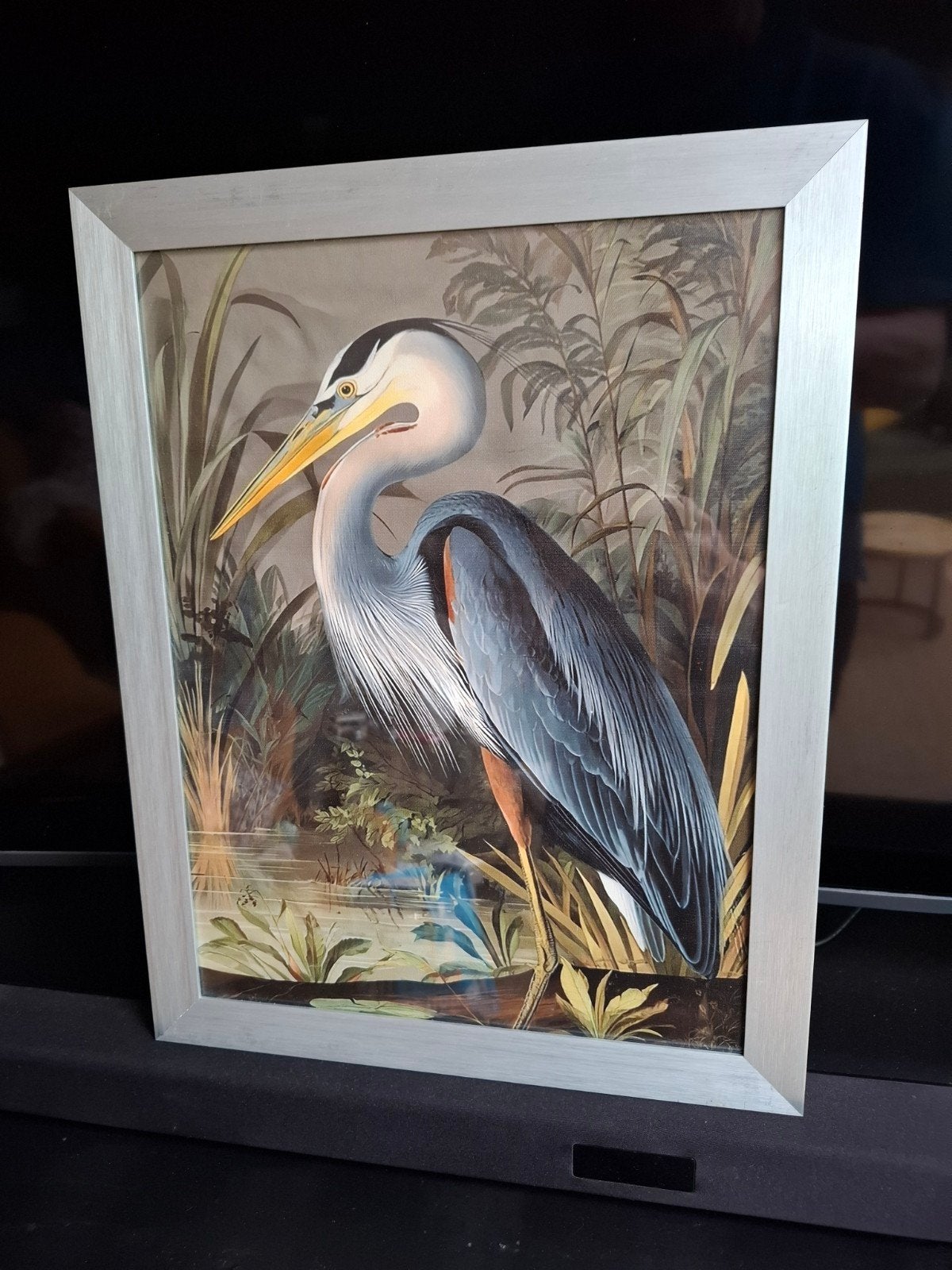 Fraaie ingelijste reproductie John Audubon zilverreiger, Minder dan 50 cm, Gebruikt, Ophalen of Verzenden, Print